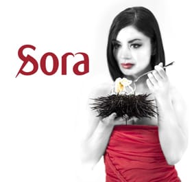 sora-logo-web