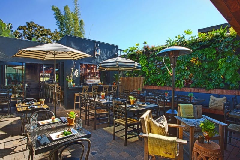 The Patio on Lamont Street DowntownRob