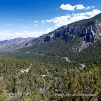 mt charleston covid-19 re-opening las vegas