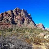 red rock scenic drive covid-19 re-opening